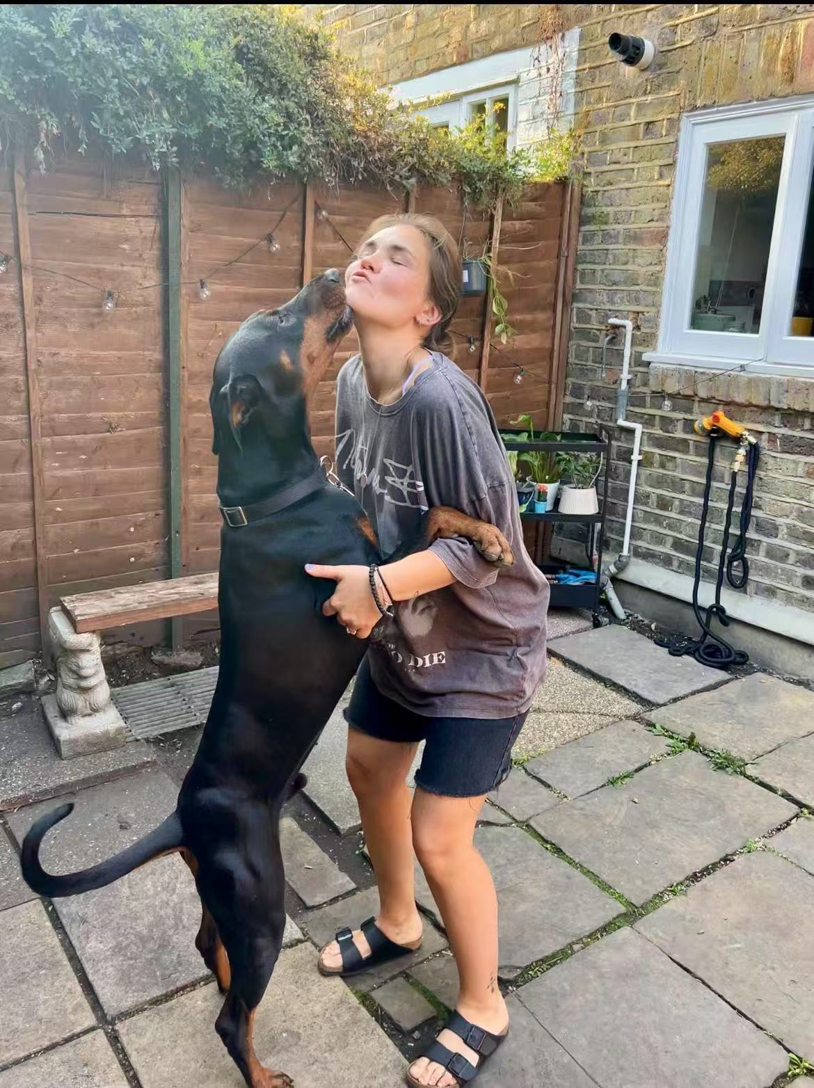 Anna - Professional Dog Trainer